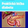 Praktická léčba diabetu – 2. vydání